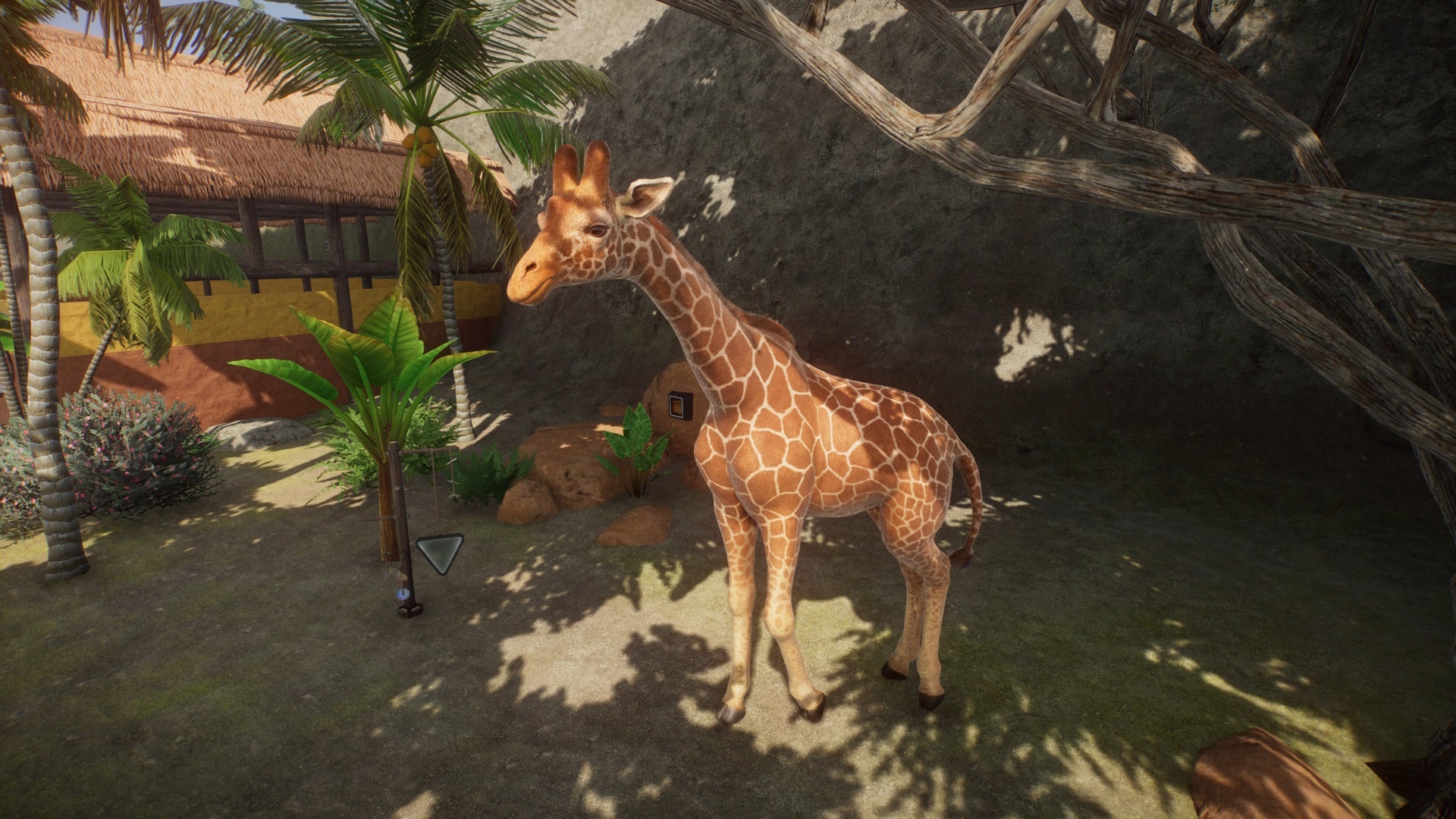 Туалеты важнее панды: Обзор Planet Zoo