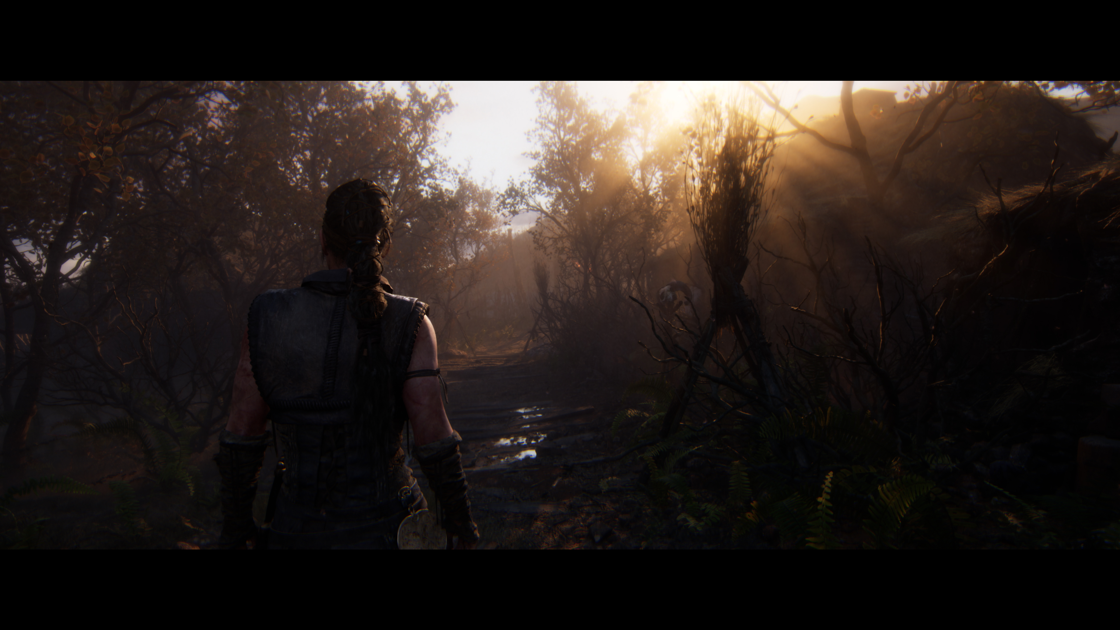 Деградация в обмен на графику: Обзор Senua's Saga: Hellblade II