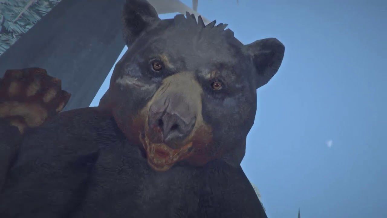  Медведь может вымотать нервы даже опытным игрокам