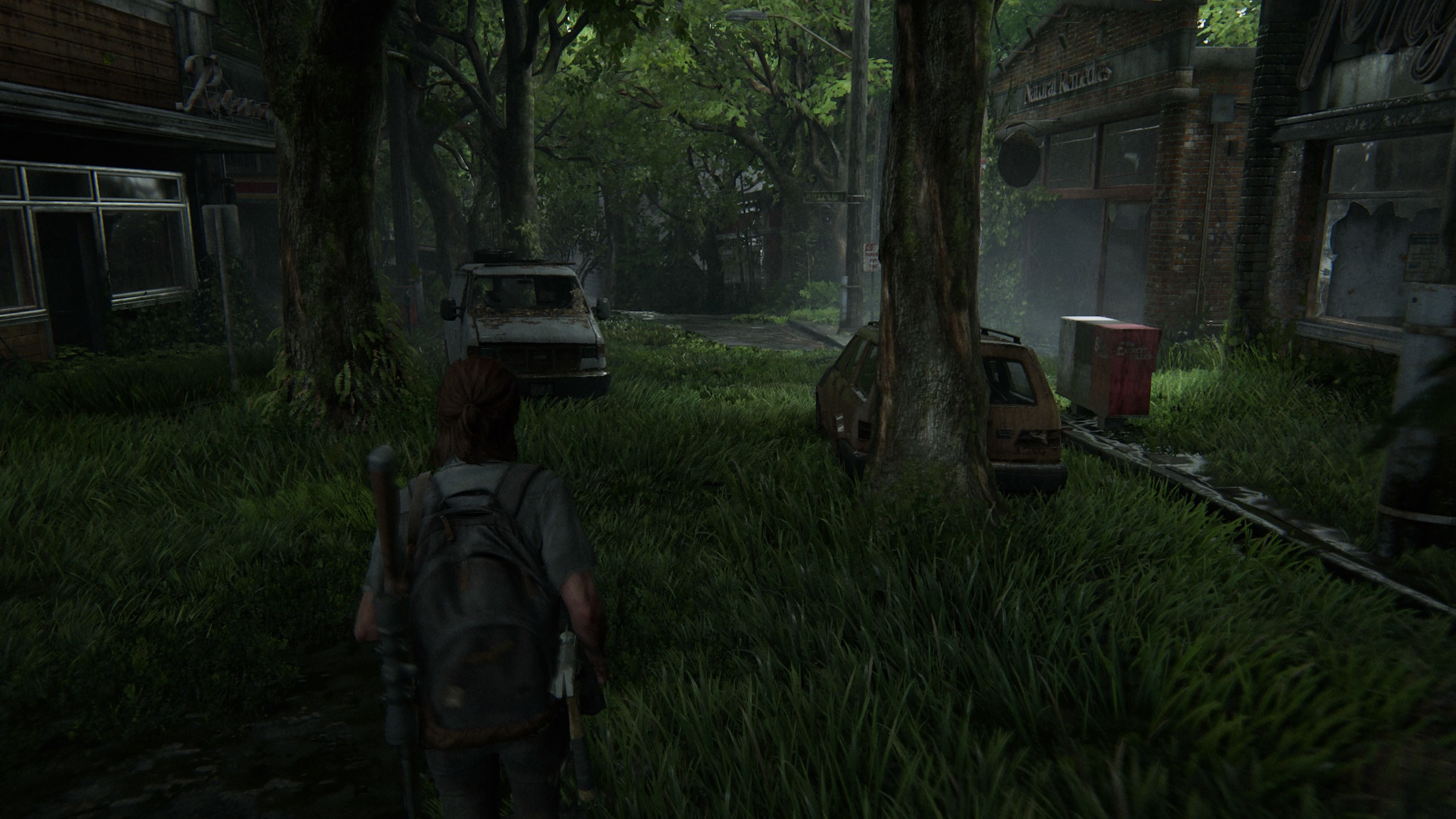 The Last of Us: Part II для PS4 - очень красивая игра: Посмотрите на скринш...