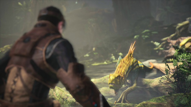 Обзор monster hunter world. Смотреть фото Обзор monster hunter world. Смотреть картинку Обзор monster hunter world. Картинка про Обзор monster hunter world. Фото Обзор monster hunter world