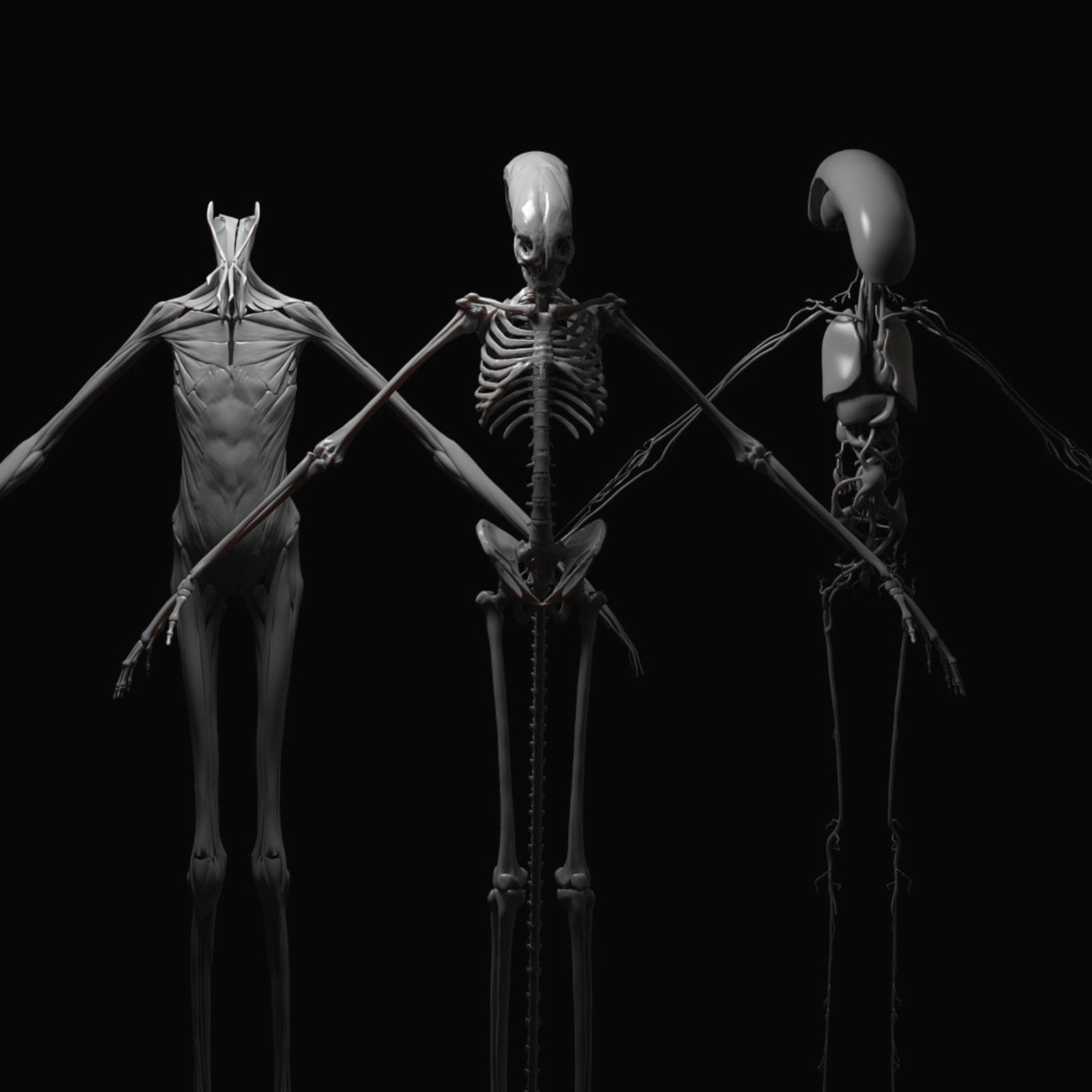 download mantis xenomorph download mantis xenomorph