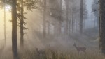 Red Dead Redemption II