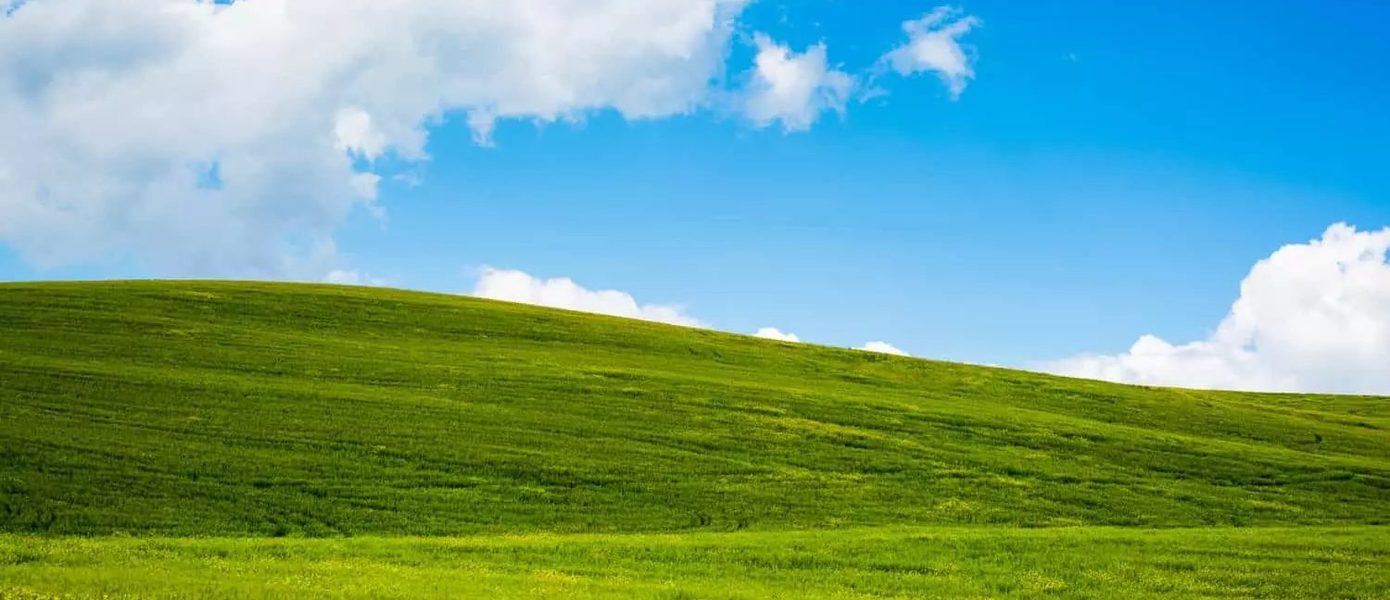 Windows XP исполнилось 20 лет — системой до сих пользуются миллионы