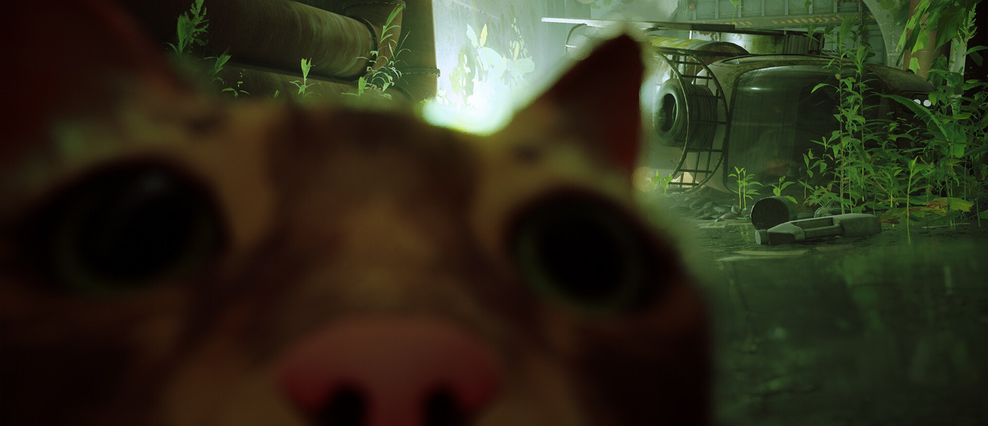 Эксперимент признан успешным: Sony довольна добавлением Stray в PS Plus — запуски игр в подписке продолжатся